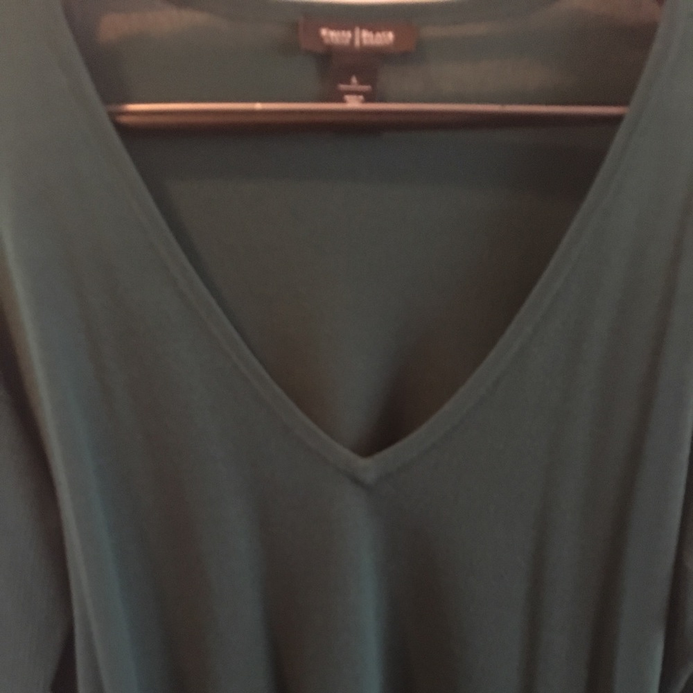 WHBM green v neck sweater